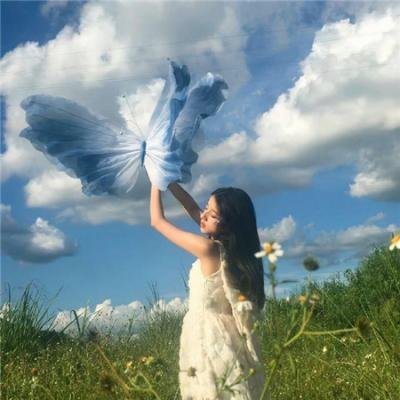 悬崖上的金鱼姬